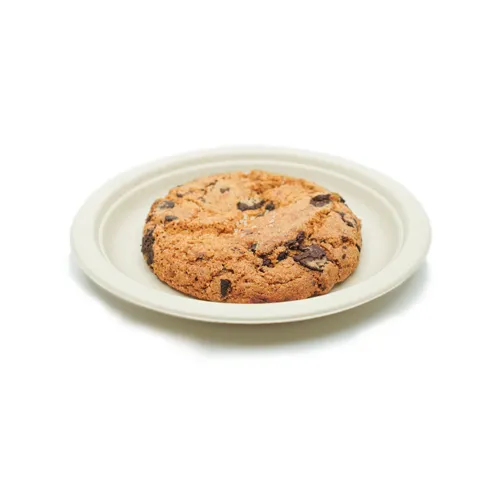 Salted Chocolate Chip Cookie