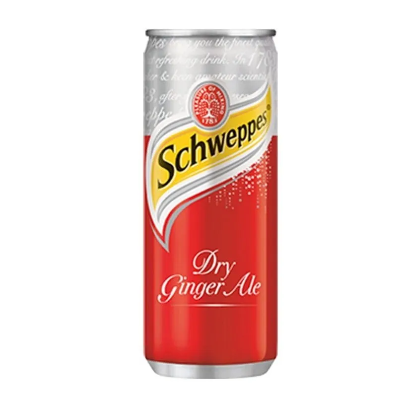 Ginger Ale (330ml can)