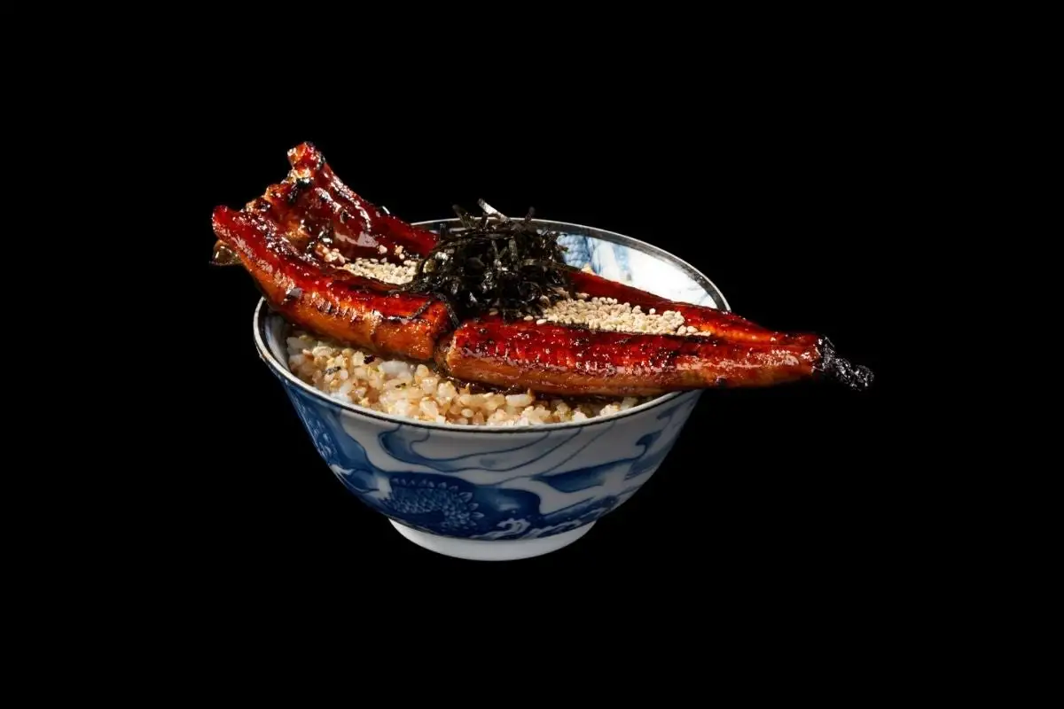 Unagi Kabayaki Don