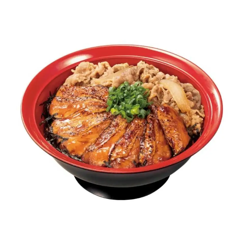 Teriyaki Salmon Bowl with Beef