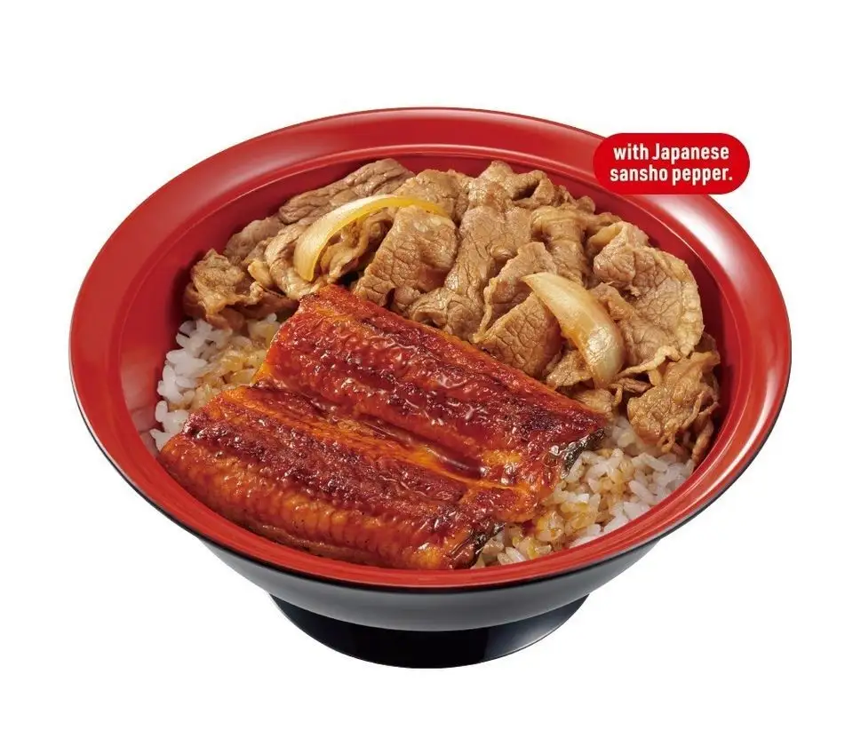 Unagi Bowl with Beef