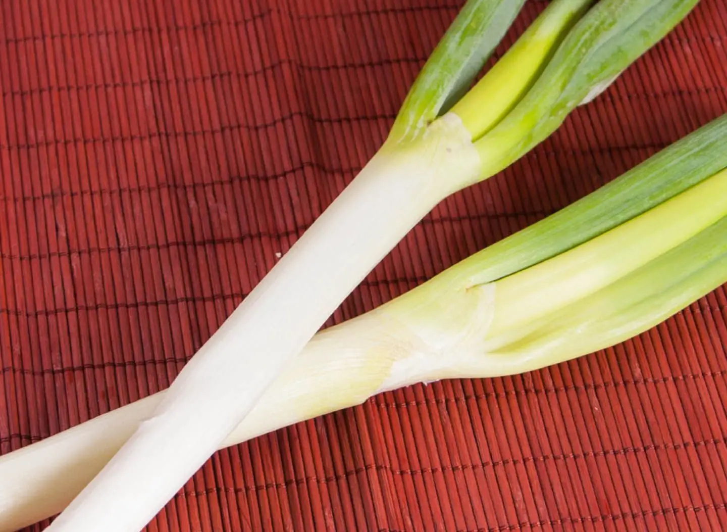 Jap Leek