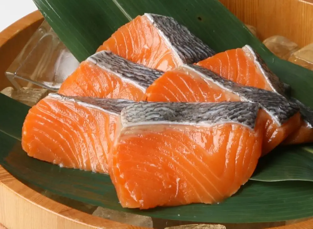 Salmon